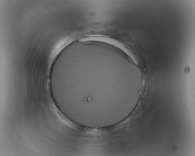 X0000111870293200909031822