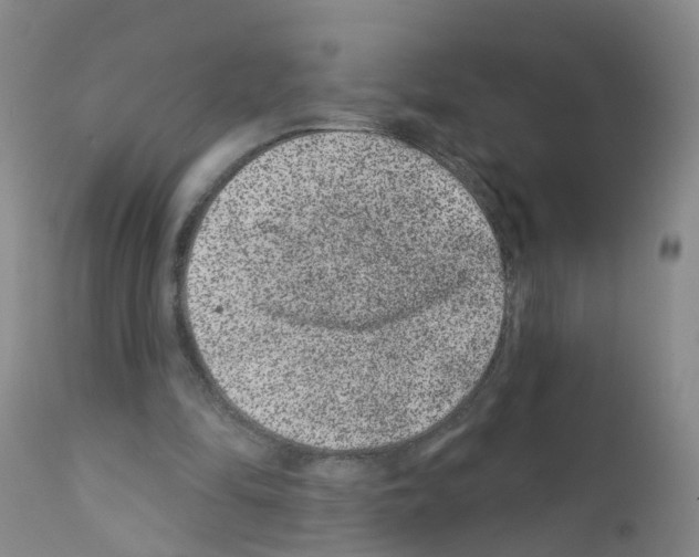 X0000111870294200909031822