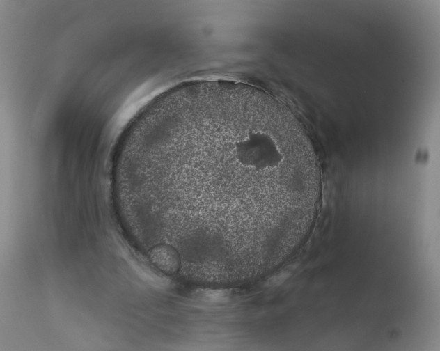 X0000111870295200909031822