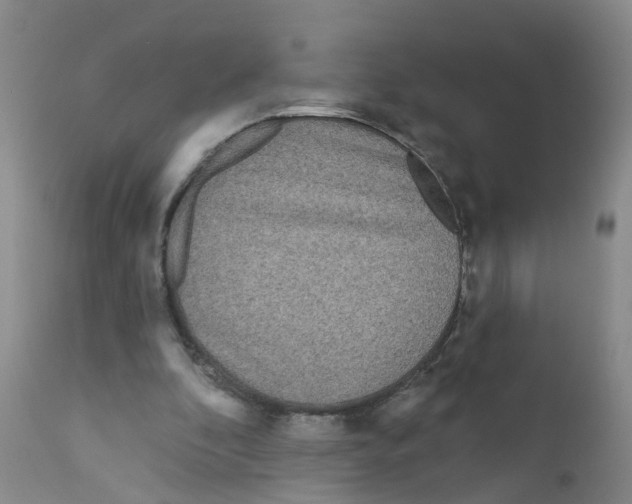 X0000111870296200909031822