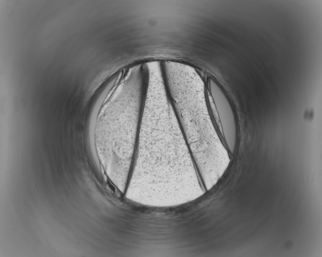 X0000111870299200909031822