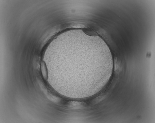 X0000111870300200909031822