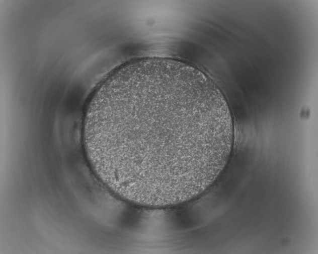 X0000111870301200909031822