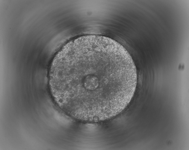 X0000111870302200909031822