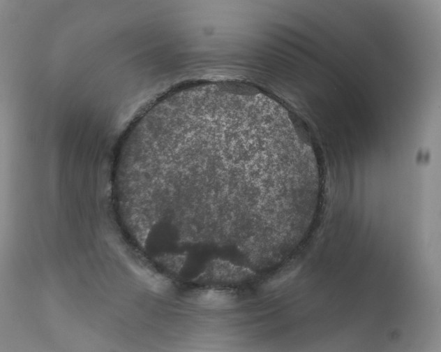 X0000111870303200909031822