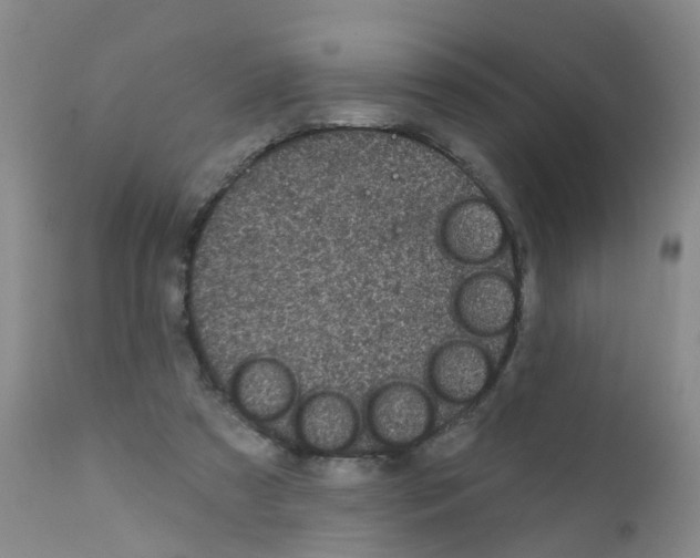 X0000111870305200909031822