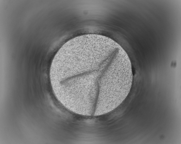 X0000111870306200909031822