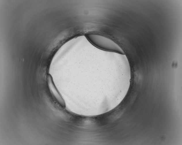 X0000111870308200909031822