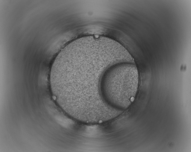 X0000111870309200909031822