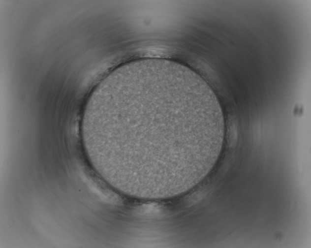 X0000111870310200909031822