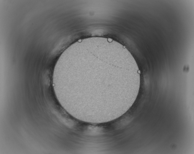 X0000111870311200909031822