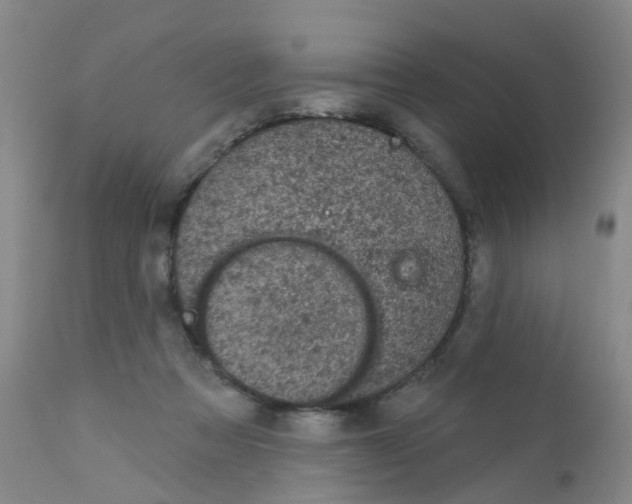 X0000111870313200909031822