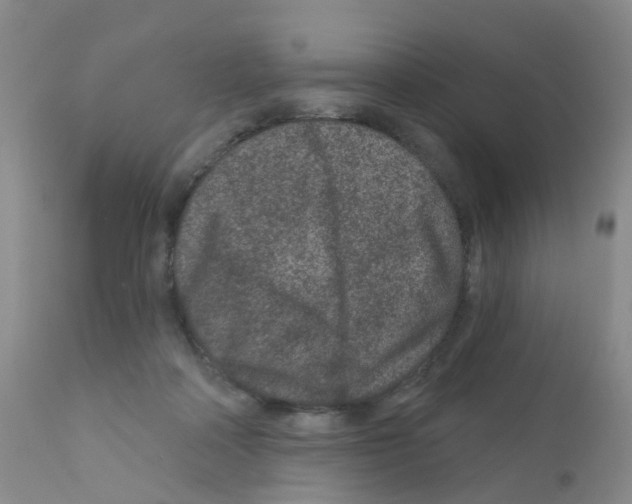 X0000111870314200909031822