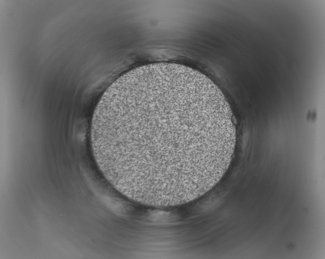 X0000111870315200909031822