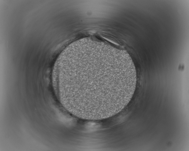 X0000111870319200909031822