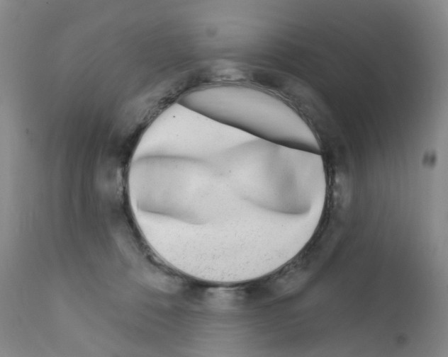 X0000111870320200909031822