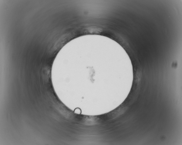 X0000111870321200909031822