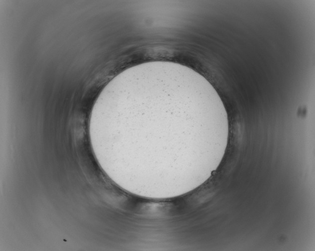 X0000111870323200909031821