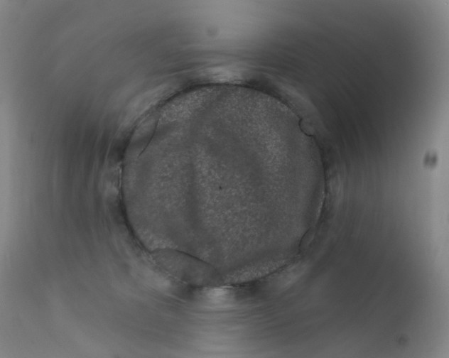 X0000111870325200909031821