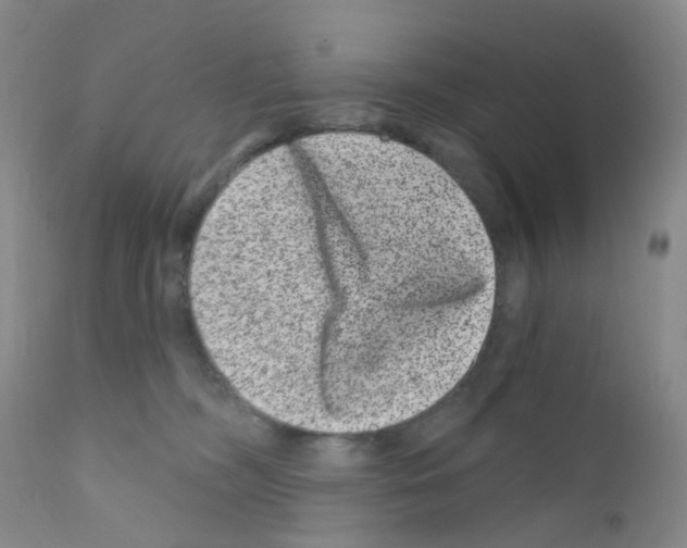 X0000111870326200909031821