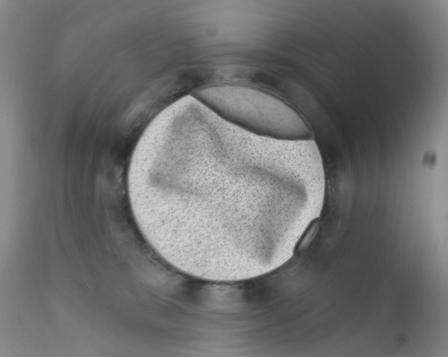 X0000111870327200909031821