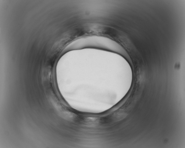 X0000111870328200909031821