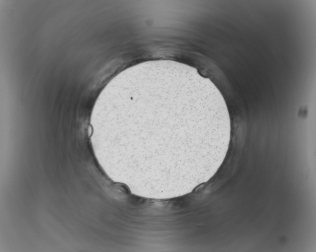 X0000111870329200909031821