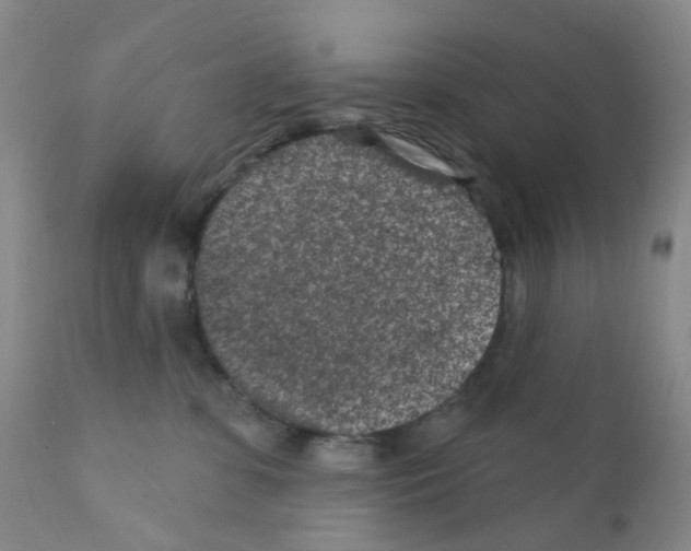 X0000111870331200909031821