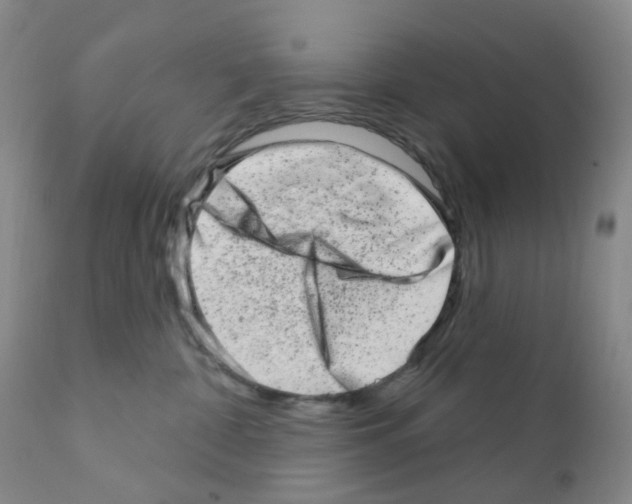 X0000111870332200909031821