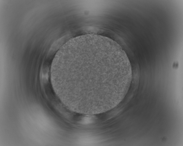 X0000111870334200909031821