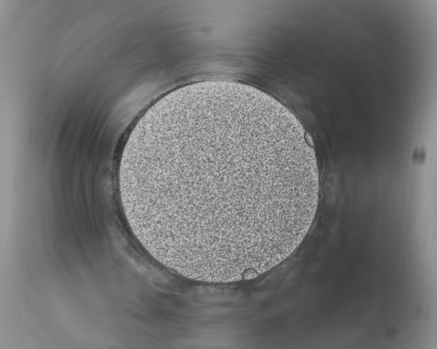 X0000111870338200909031821