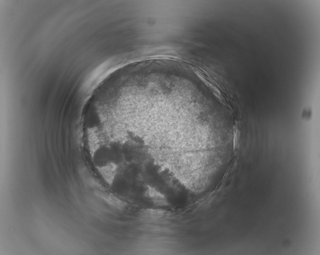 X0000111870339200909031821