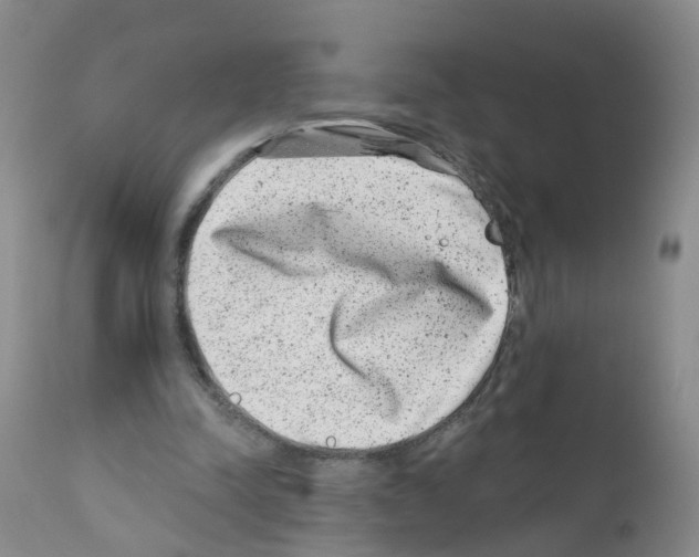 X0000111870342200909031821