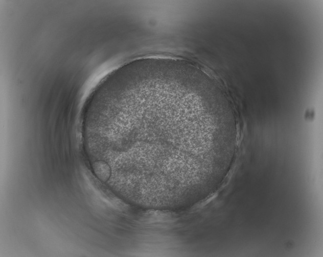 X0000111870343200909031821