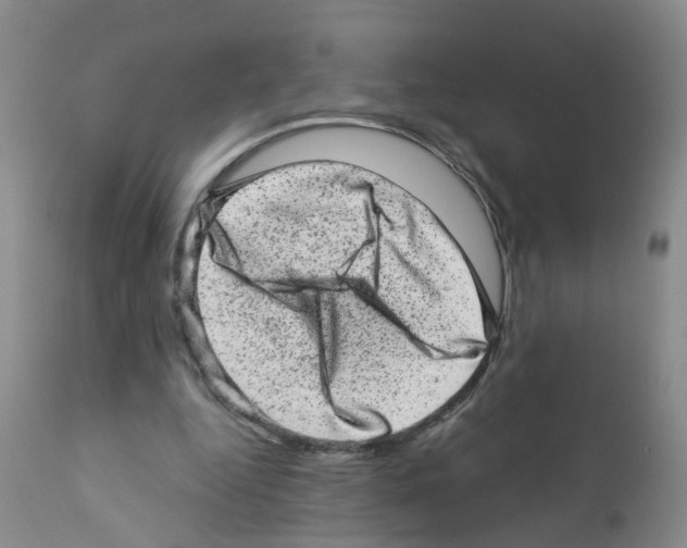 X0000111870344200909031821