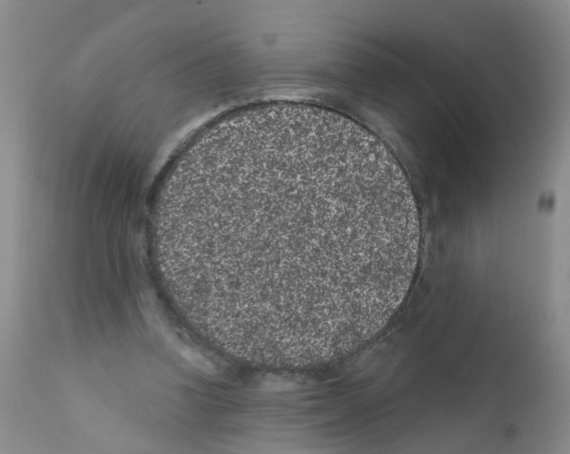 X0000111870346200909031821