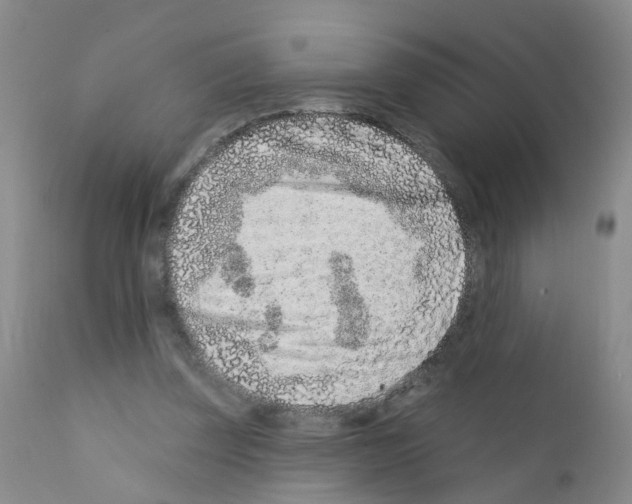 X0000111870347200909031821