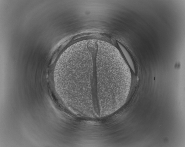 X0000111870348200909031821