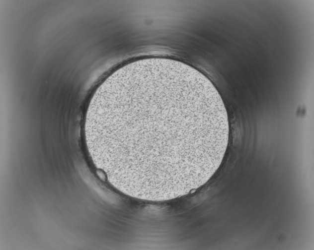 X0000111870350200909031821