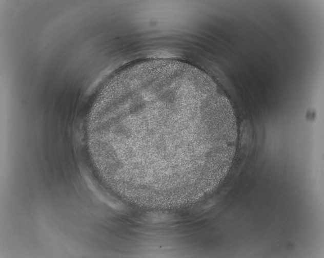 X0000111870351200909031821