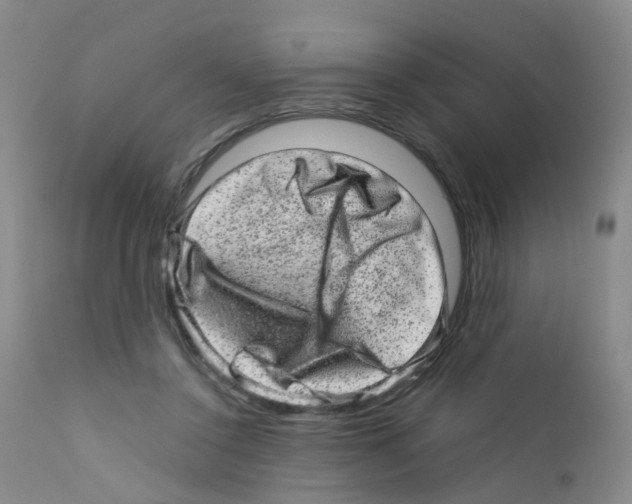 X0000111870356200909031821