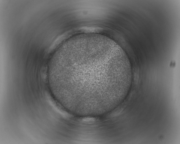 X0000111870357200909031821