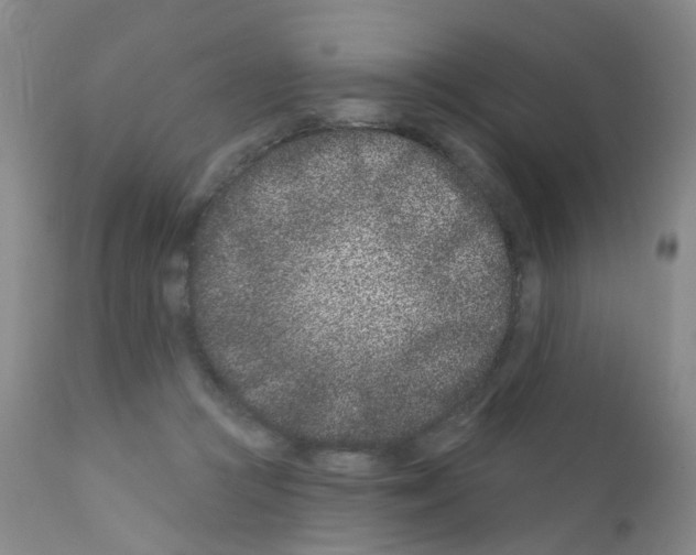 X0000111870361200909031821