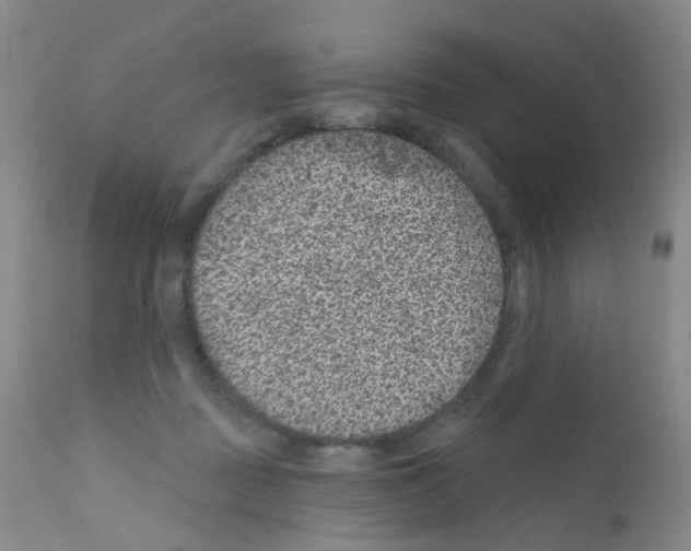 X0000111870363200909031821