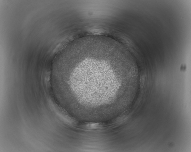 X0000111870365200909031821