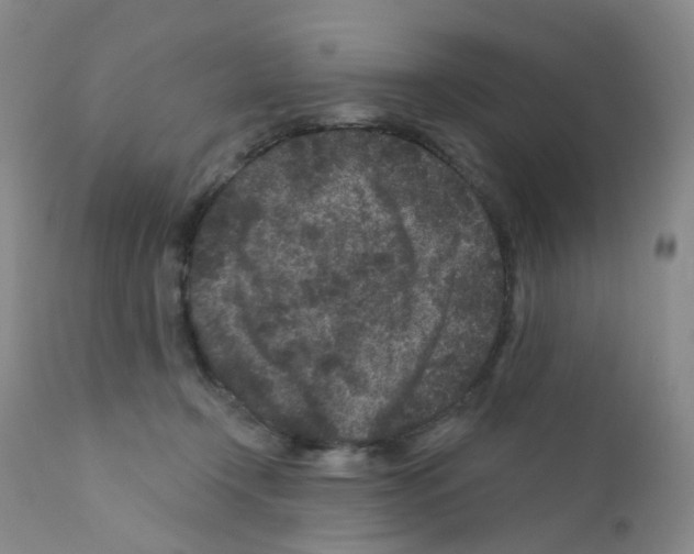 X0000111870366200909031821