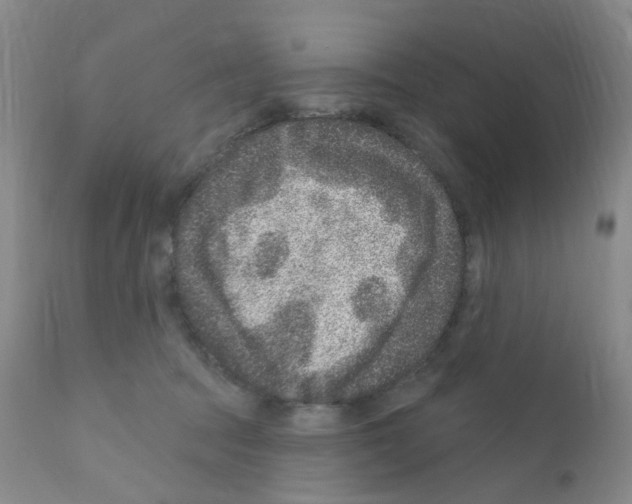 X0000111870369200909031821