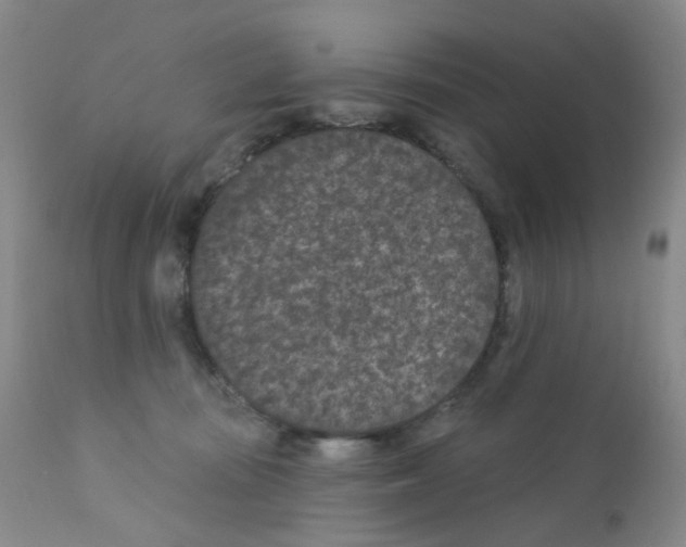 X0000111870371200909031821