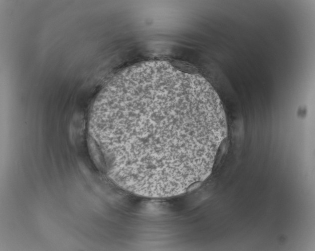 X0000111870372200909031821