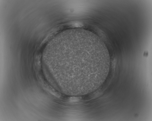 X0000111870373200909031821